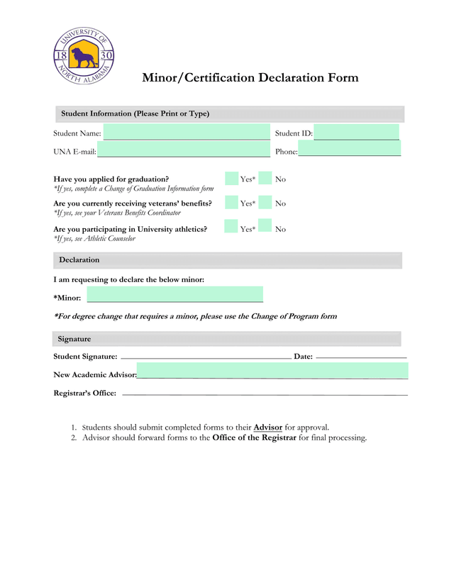 MinorCertification Declaration Form screenshot
