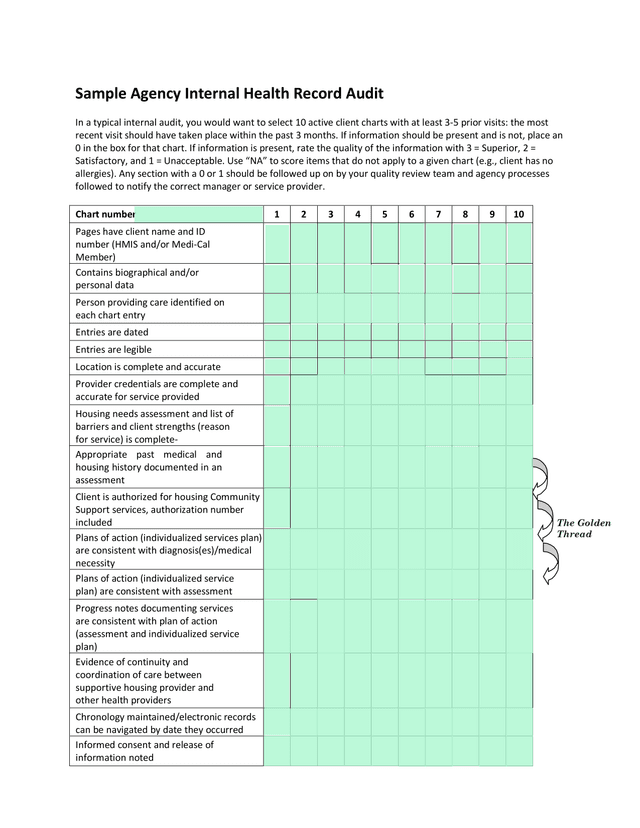 Sample Agency Internal Health Record Audit screenshot
