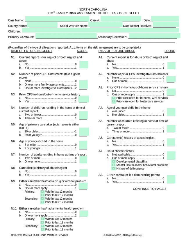 SDM FAMILY RISK ASSESSMENT OF CHILD ABUSENEGLECT screenshot