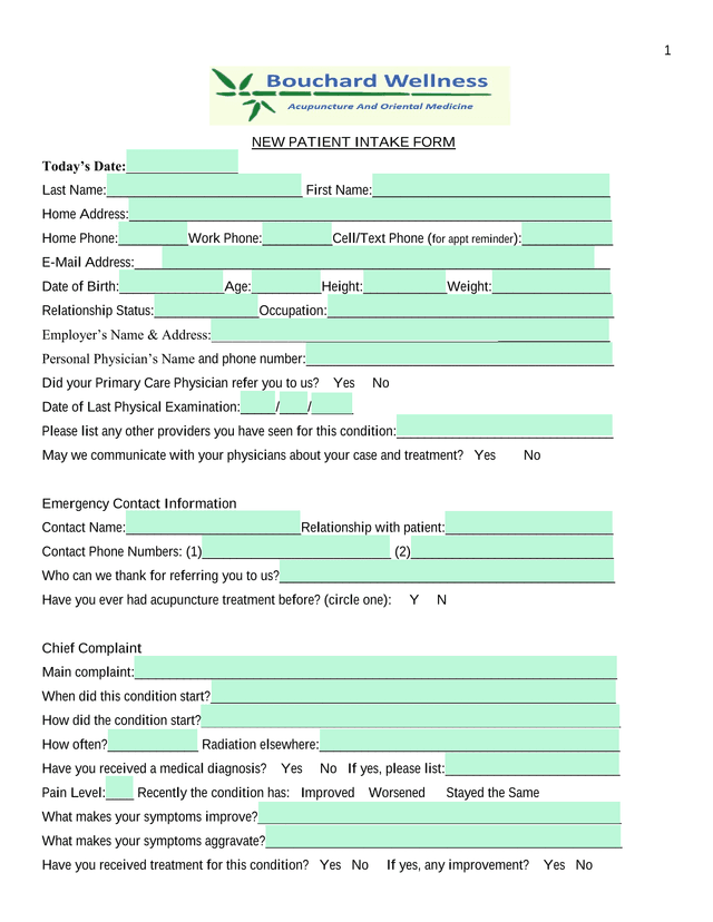 NEW PATIENT INTAKE FORM screenshot