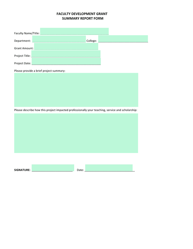 Faculty Development Grant Summary Report Form screenshot