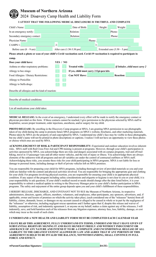 Child Medical Disclosure Form screenshot