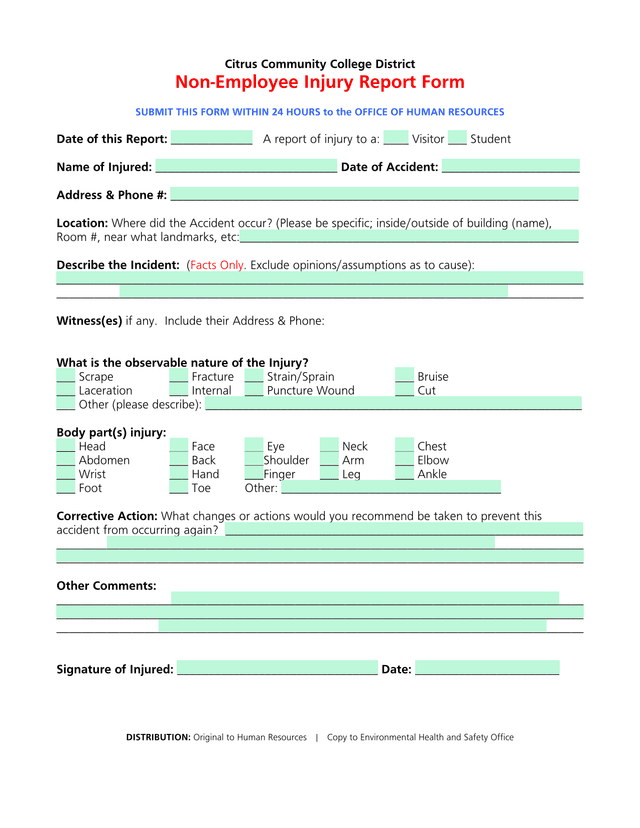 Non Employee Injury Report Form screenshot