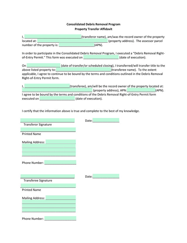 Consolidated Debris Removal Program Property Transfer Affidavit screenshot
