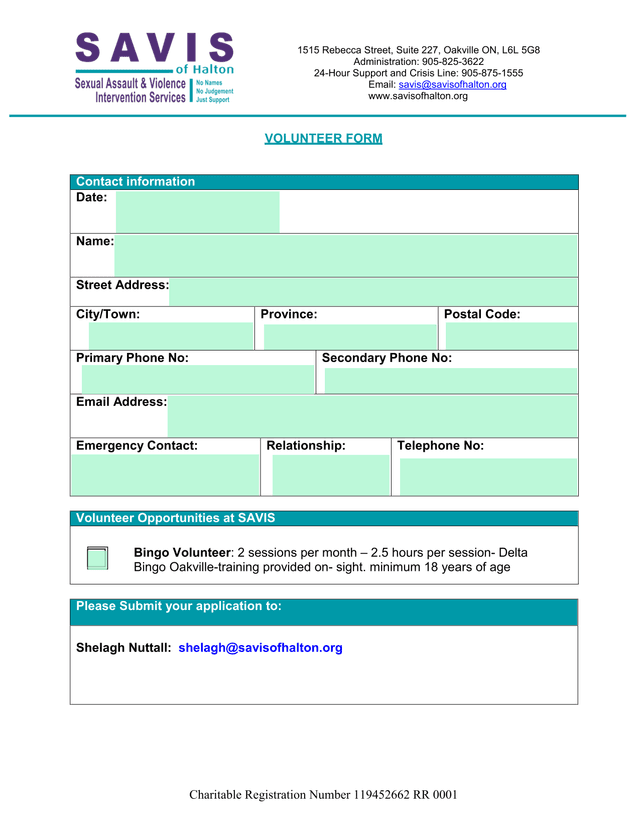 VOLUNTEER FORM screenshot
