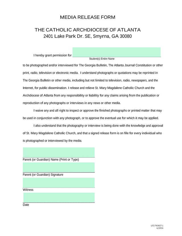 MEDIA RELEASE FORM screenshot
