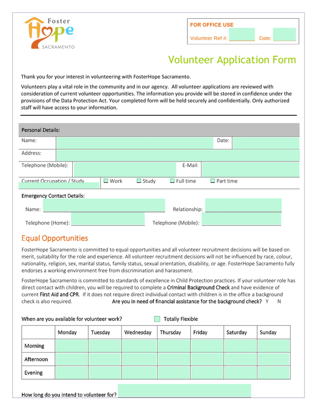 Volunteer Application Form screenshot