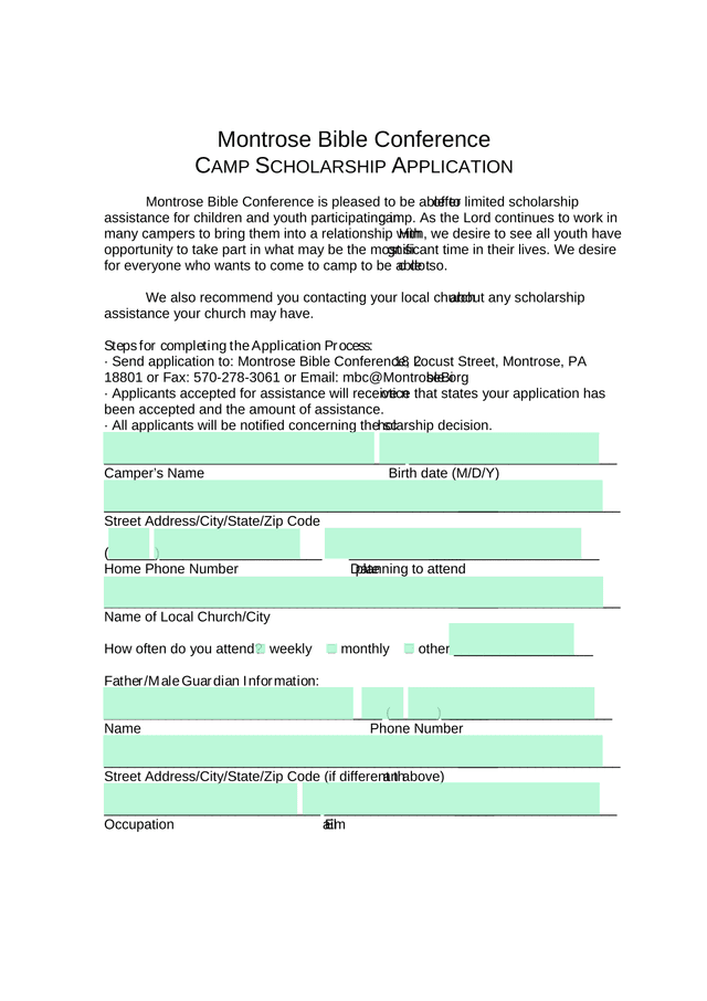 Camp Scholarship Application screenshot