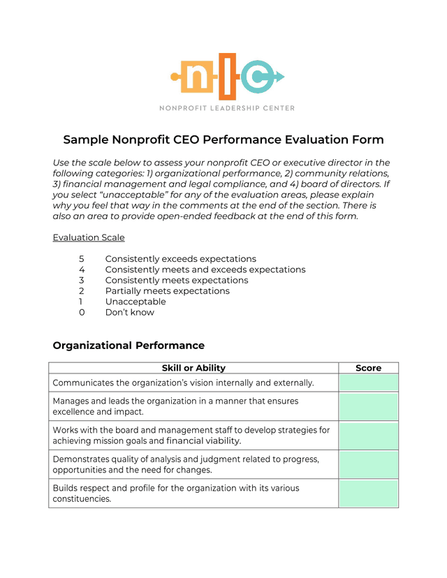 Sample Nonprofit CEO Performance Evaluation Form screenshot