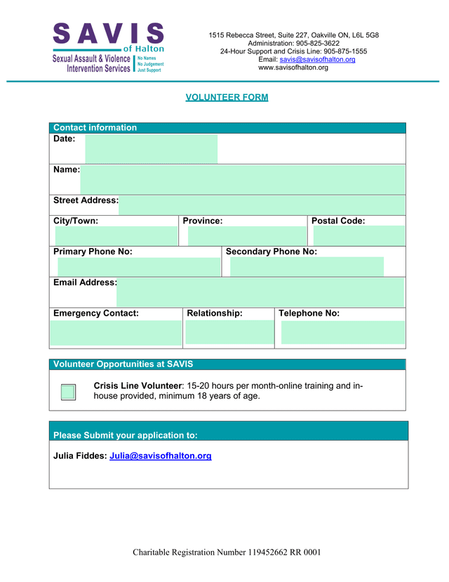 VOLUNTEER FORM screenshot
