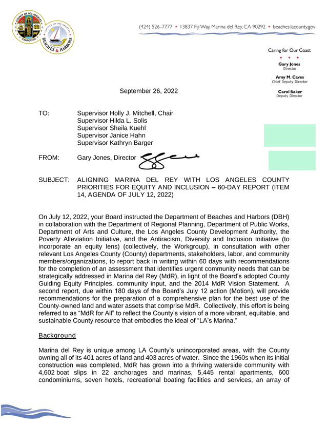 Aligning Marina Del Rey With Los Angeles County Priorities For Equity And Inclusion  60 Day Report screenshot
