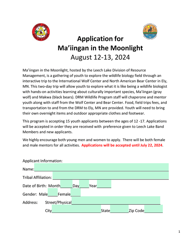 Application For MaIingan In The Moonlight screenshot