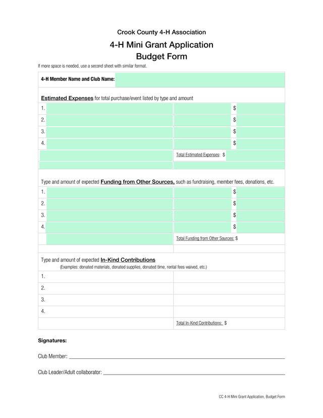 CC 4 H Mini Grant Application, Budget Form screenshot