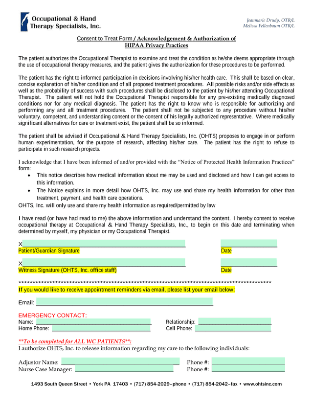 Consent To Treat Form  Acknowledgement  Authorization Of HIPAA Privacy Practices screenshot