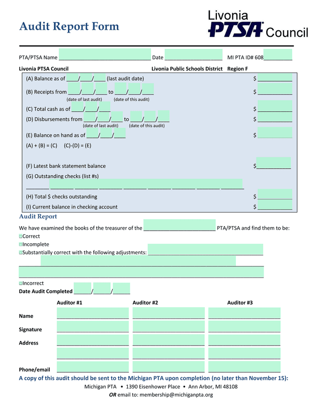 Audit Report Form screenshot