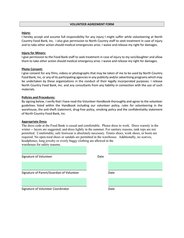VOLUNTEER AGREEMENT FORM screenshot