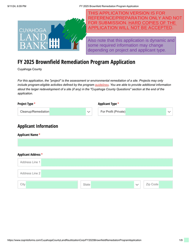 FY 2025 Brownfield Remediation Program Application screenshot