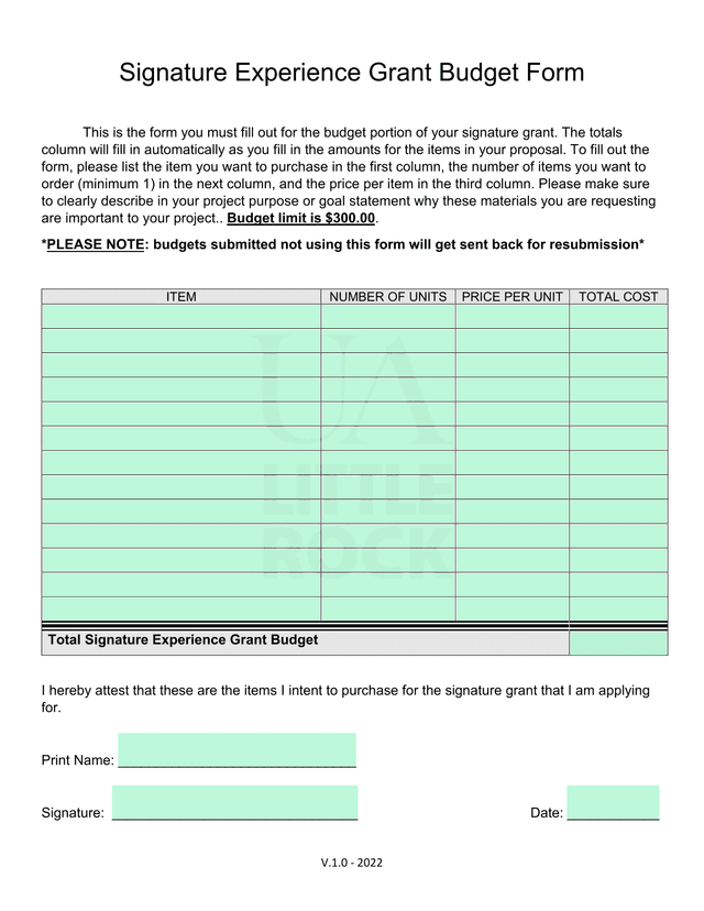 Signature Experience Grant Budget Form screenshot