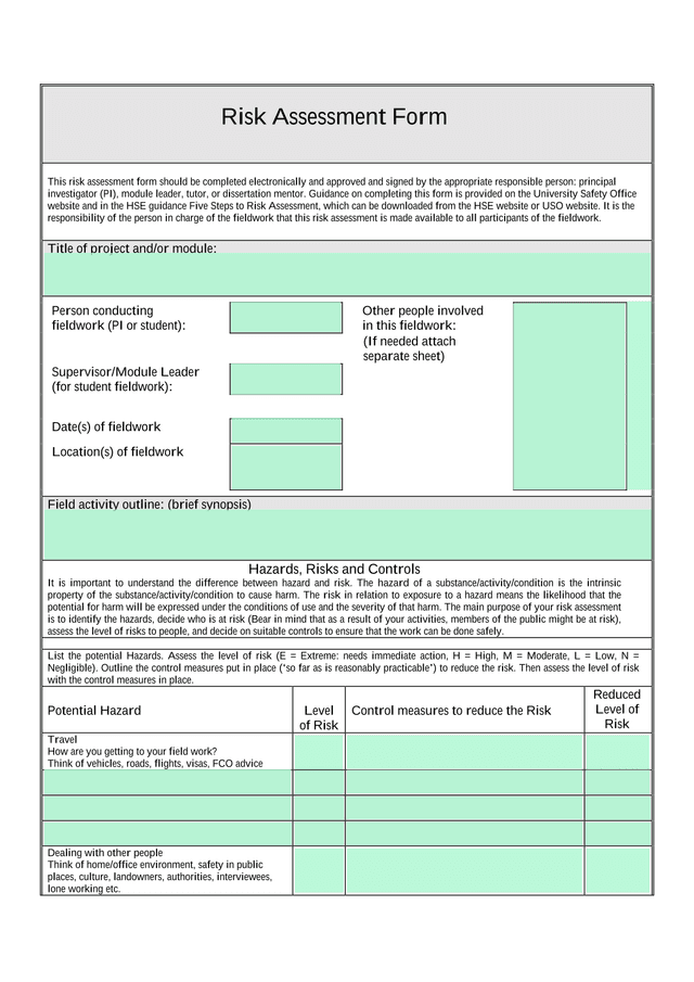Risk Assessment Form screenshot