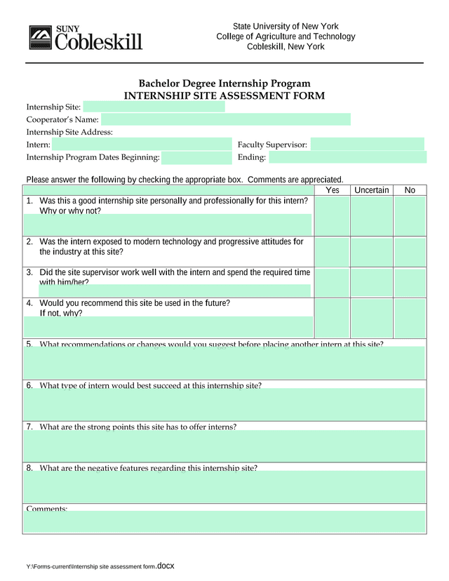 Internship Site Assessment Form screenshot