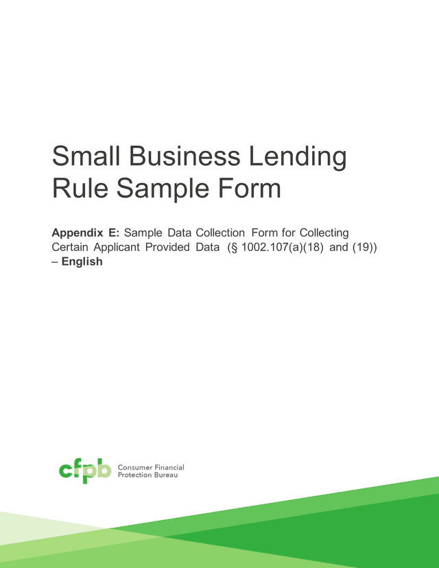 Small Business Lending Rule Sample Form screenshot