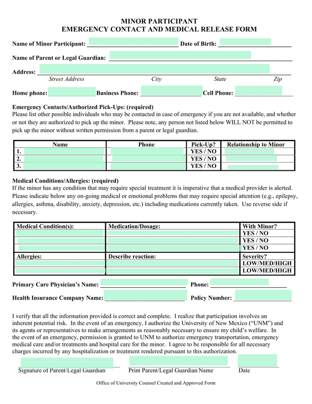 MINOR PARTICIPANT EMERGENCY CONTACT AND MEDICAL RELEASE FORM screenshot