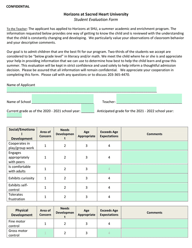 Student Evaluation Form screenshot