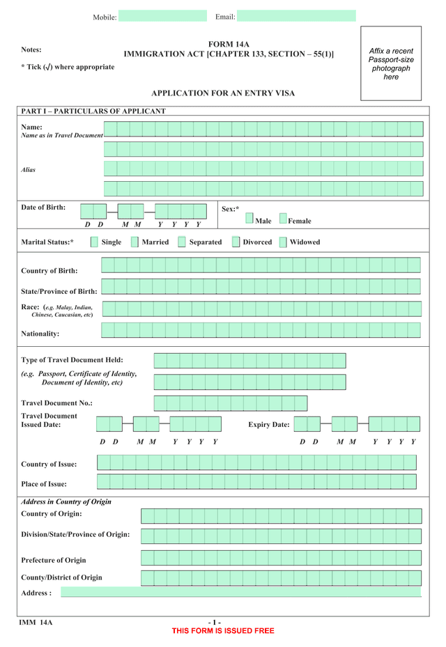 Application For An Entry Visa screenshot