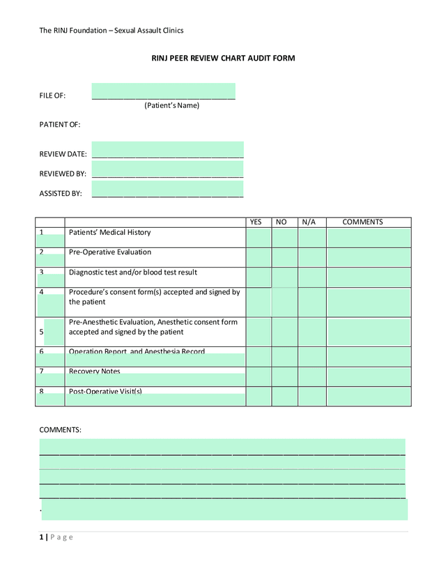 RINJ Peer Review Chart Audit Form screenshot