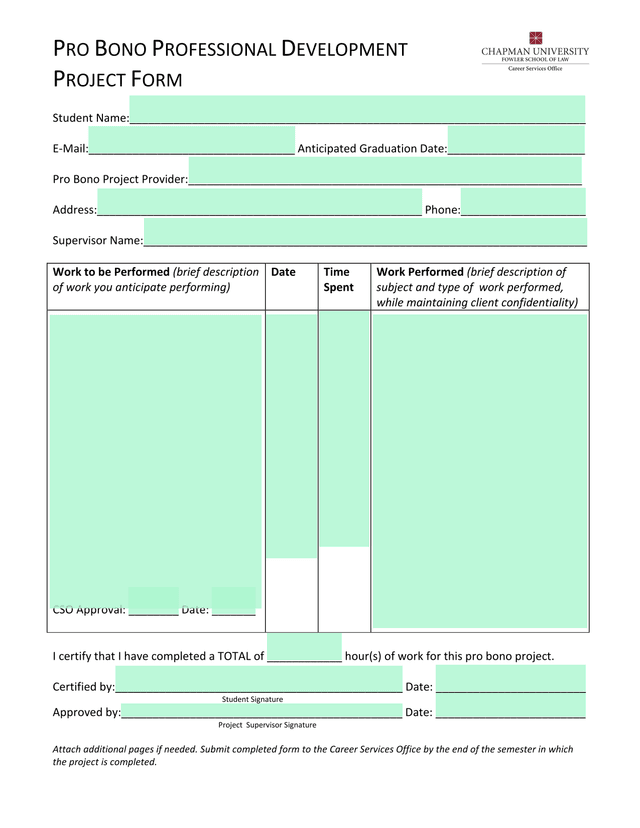PRO BONO PROFESSIONAL DEVELOPMENT PROJECT FORM screenshot