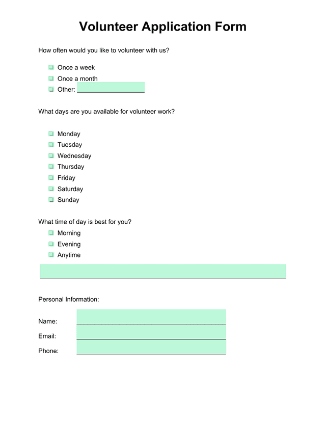 Volunteer Application Form screenshot