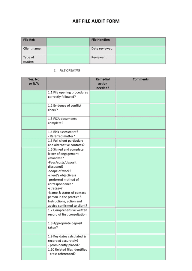 AIIF FILE AUDIT FORM screenshot