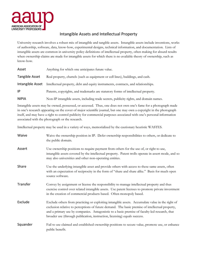 Intangible Assets And Intellectual Property screenshot