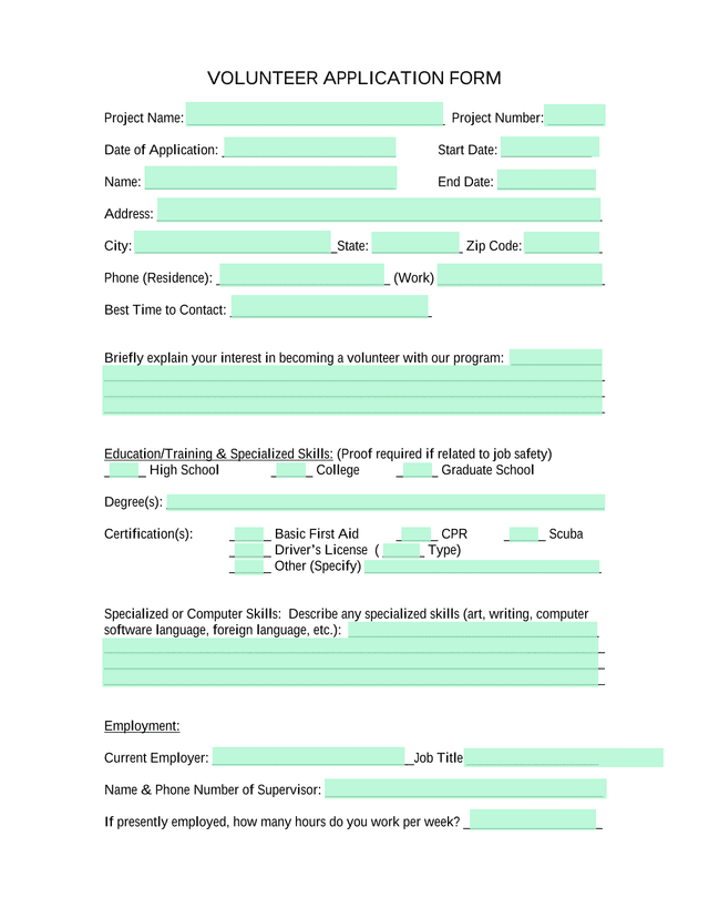 Volunteer Application Form screenshot