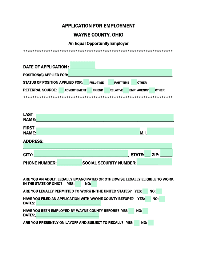 APPLICATION FOR EMPLOYMENT   WAYNE COUNTY, OHIO screenshot