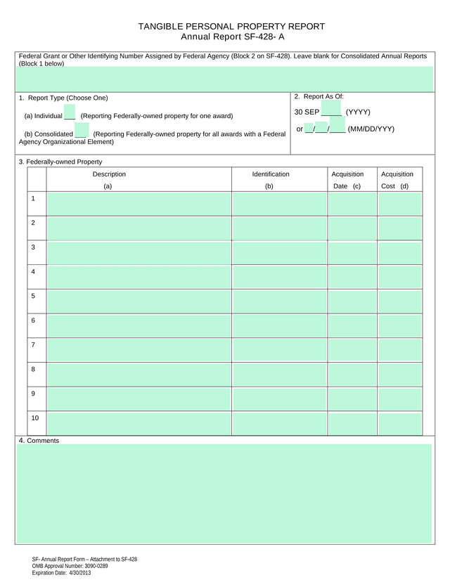 SF 428 Tangible Personal Property Report screenshot