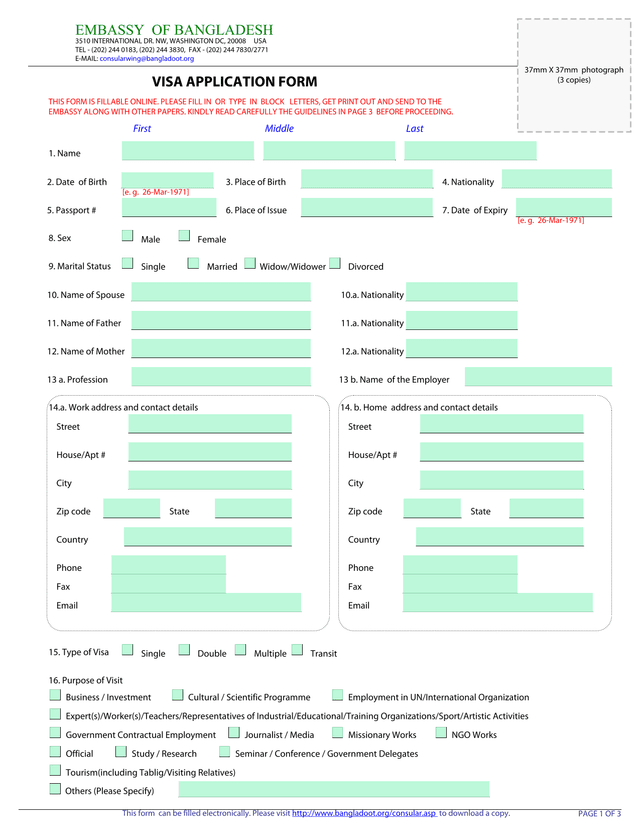 VISA APPLICATION FORM screenshot