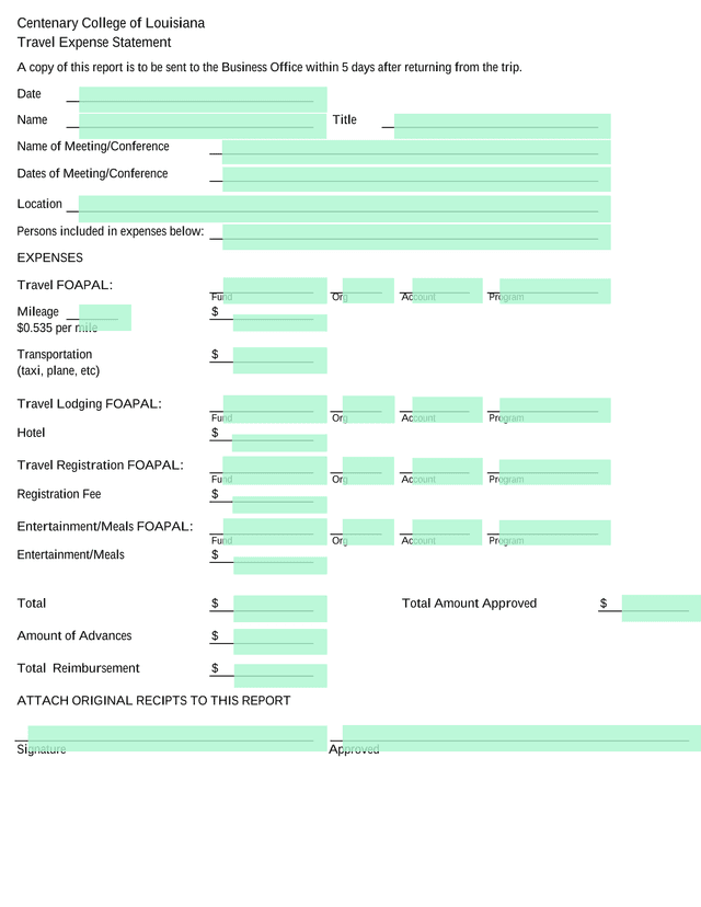 Travel Expense Statement screenshot