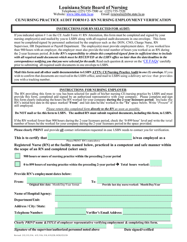 CENURSING PRACTICE AUDIT FORM  2  RN NURSING EMPLOYMENT VERIFICATION screenshot