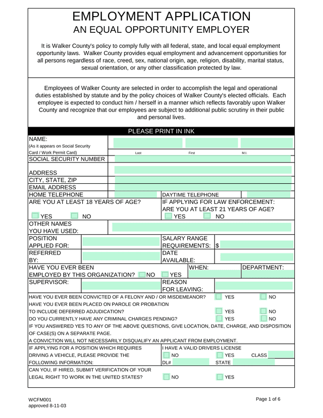 EMPLOYMENT APPLICATION screenshot