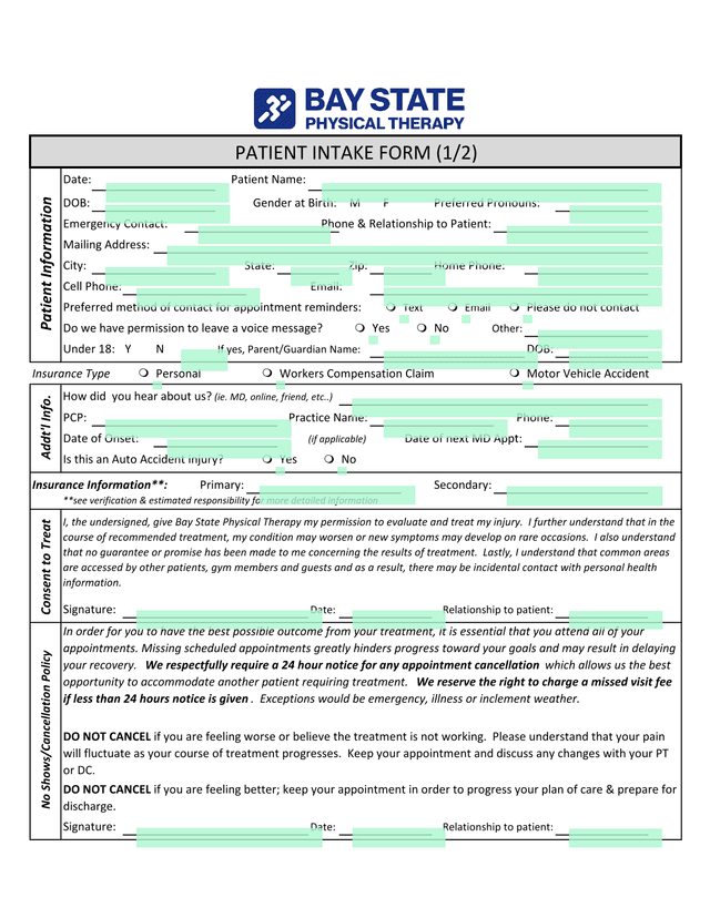 Patient Intake And Consent Form screenshot