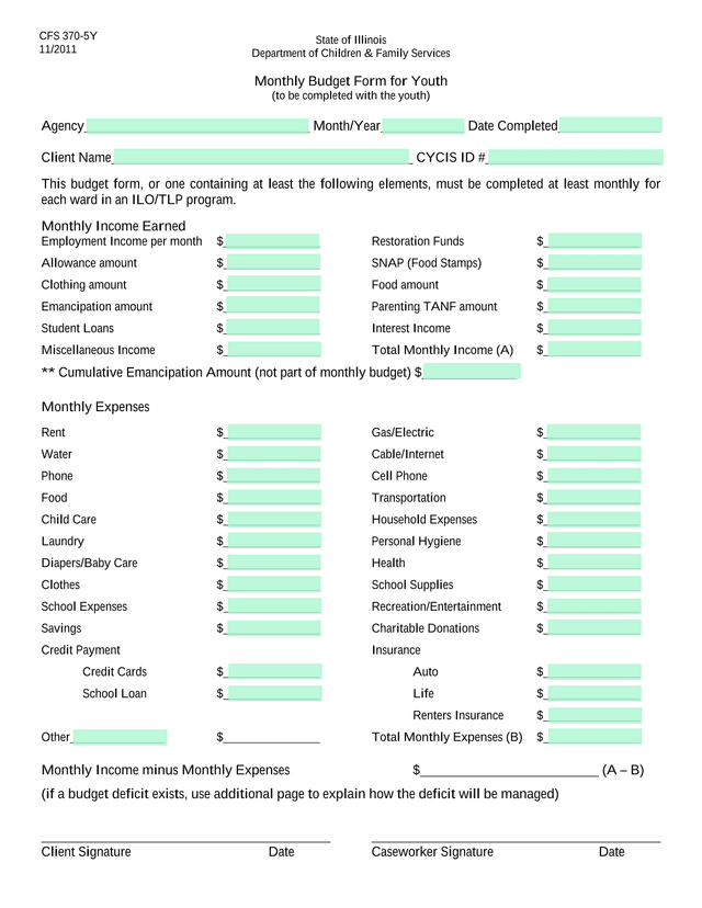 Monthly Budget Form For Youth screenshot