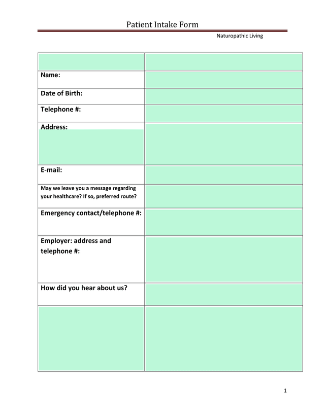 Patient Intake Form screenshot