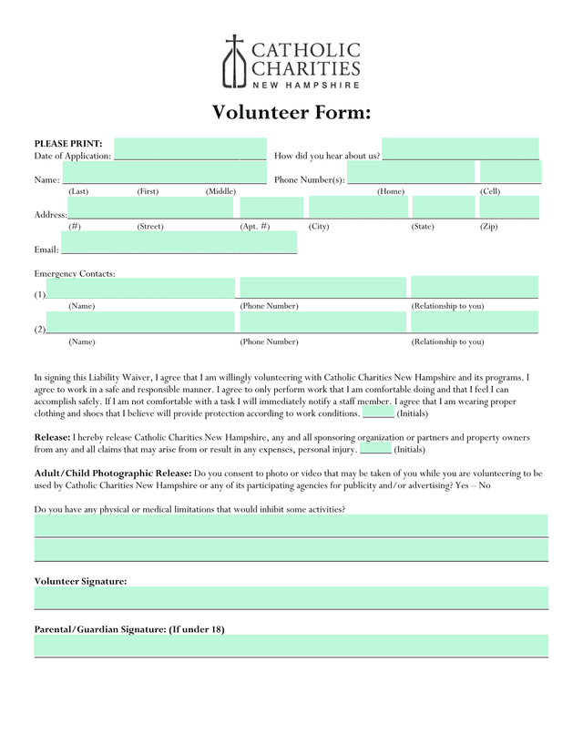 Volunteer Form screenshot