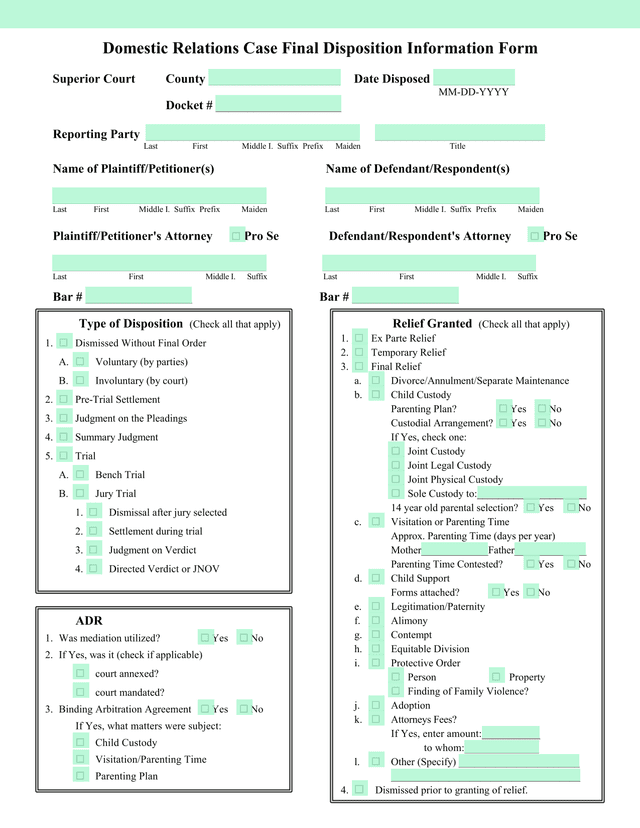 Domestic Relations Case Final Disposition Information Form screenshot