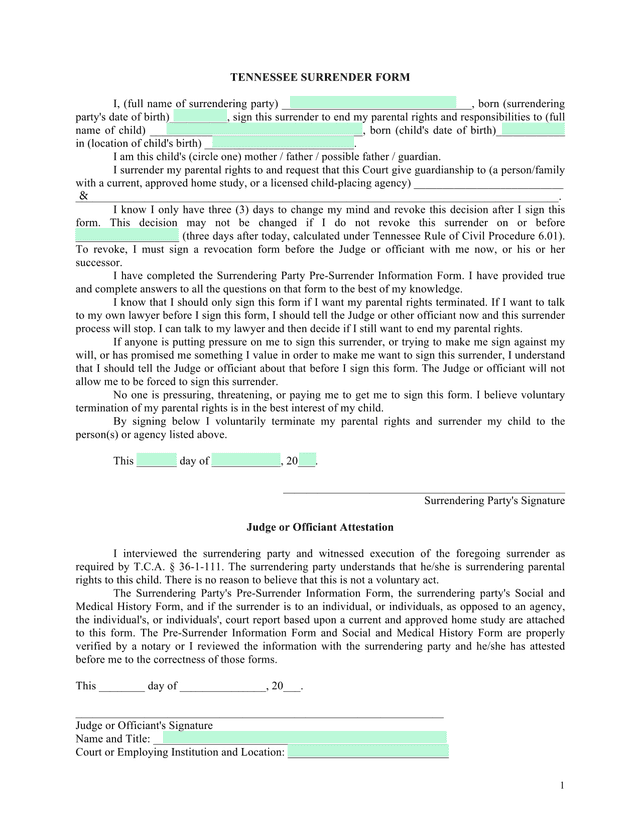 Tennessee Surrender Form screenshot