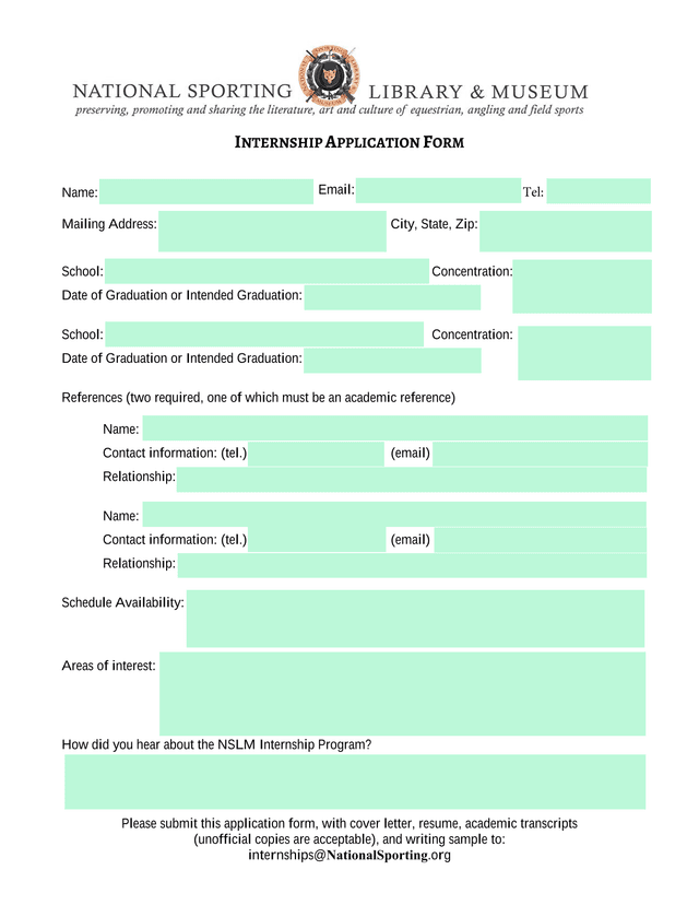 Internship Application Form screenshot