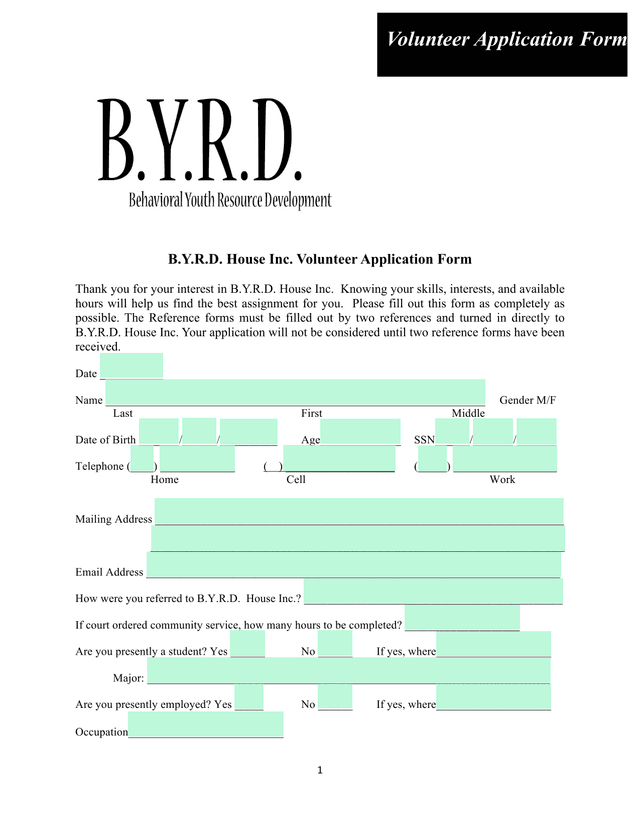 B.Y.R.D. House Inc. Volunteer Application Form screenshot