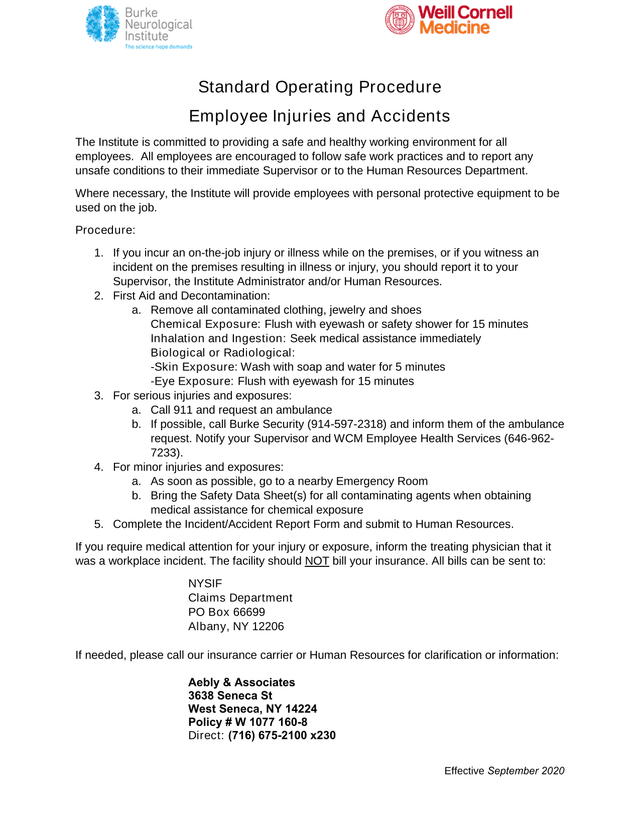 Standard Operating Procedure Employee Injuries And Accidents screenshot