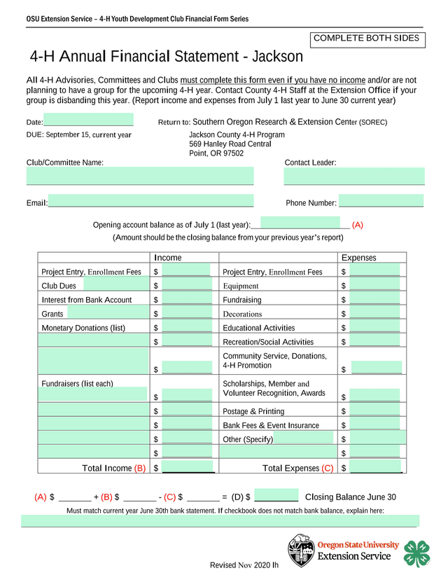 4 H Annual Financial Statement   Jackson screenshot